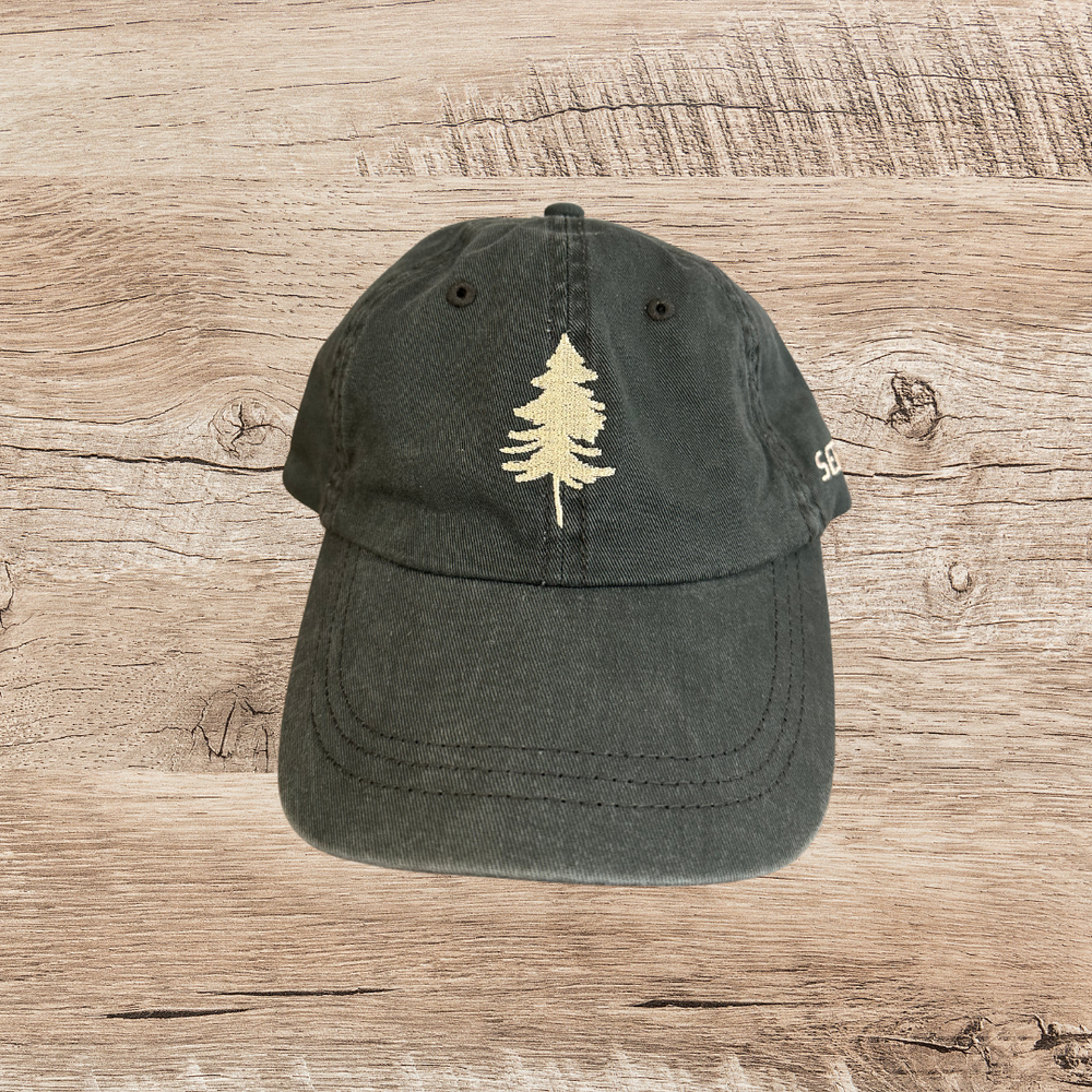 Hemlock Dad Hat