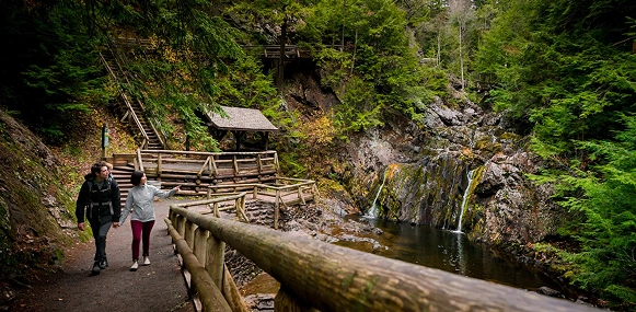 Seek Wilderness Accommodations Truro, Nova Scotia